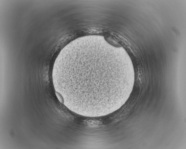 X0000115300512200912141119