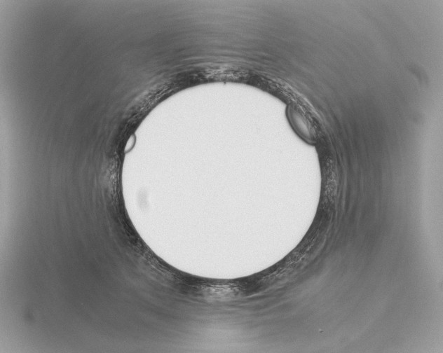 X0000115300513200912141119