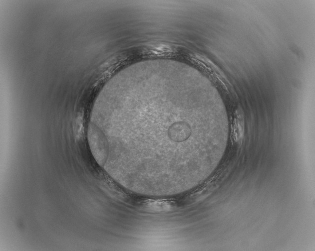 X0000115300520200912141119