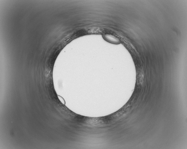 X0000115300521200912141119