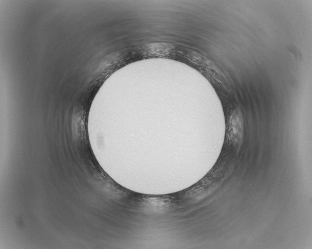 X0000115300522200912141119