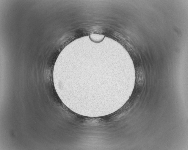 X0000115300523200912141119