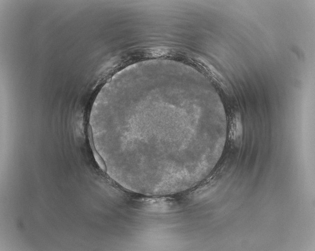 X0000115300524200912141119