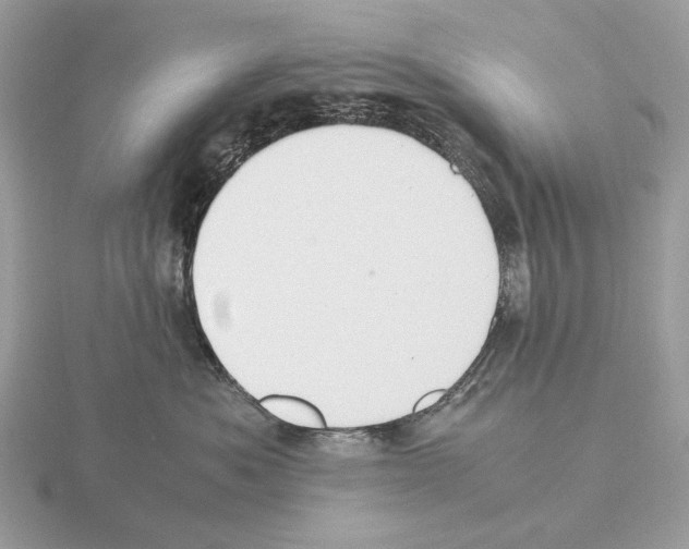 X0000115300525200912141119