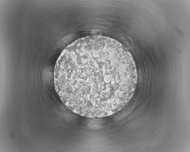 X0000115300527200912141119