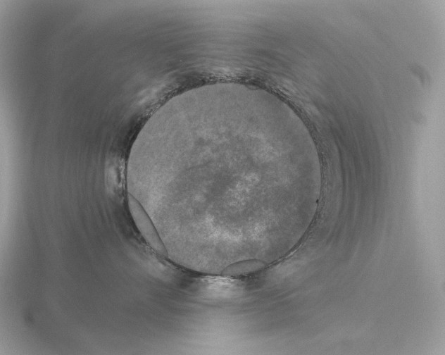 X0000115300528200912141119
