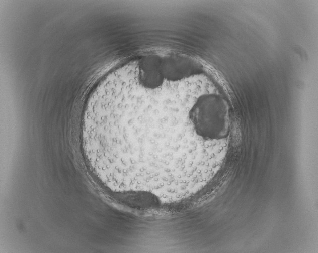 X0000115300529200912141118