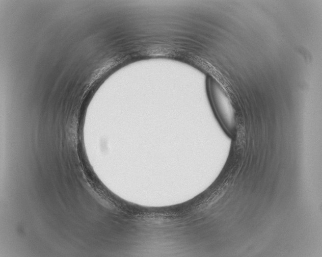 X0000115300530200912141118