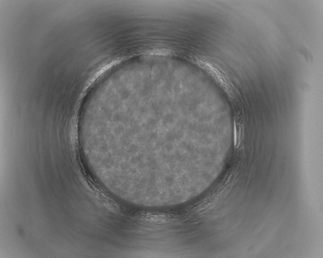 X0000115300531200912141118