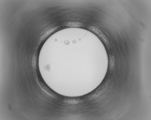 X0000115300533200912141118