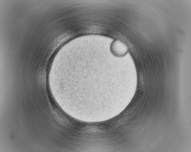 X0000115300534200912141118