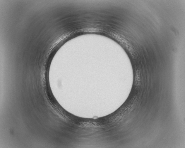 X0000115300535200912141118