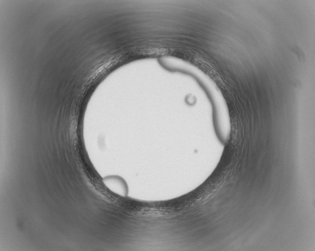 X0000115300538200912141118