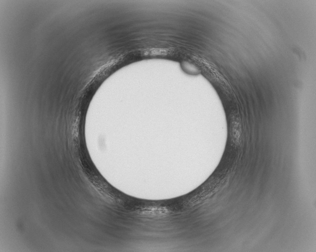 X0000115300543200912141119