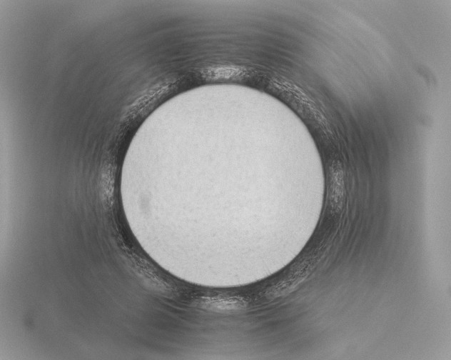 X0000115300545200912141119