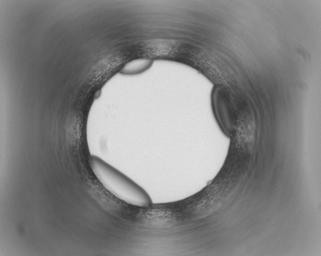 X0000115300546200912141119