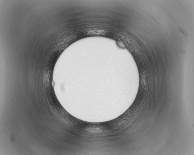 X0000115300551200912141119