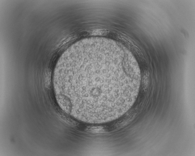 X0000115300554200912141119