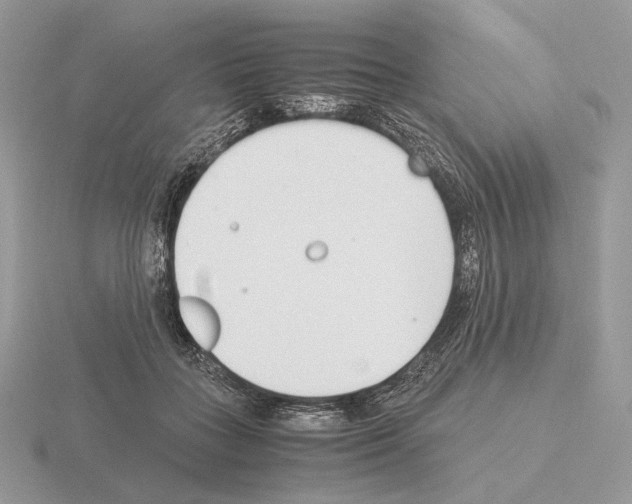 X0000115300555200912141119