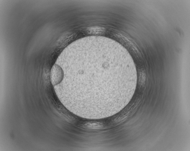 X0000115300557200912141119