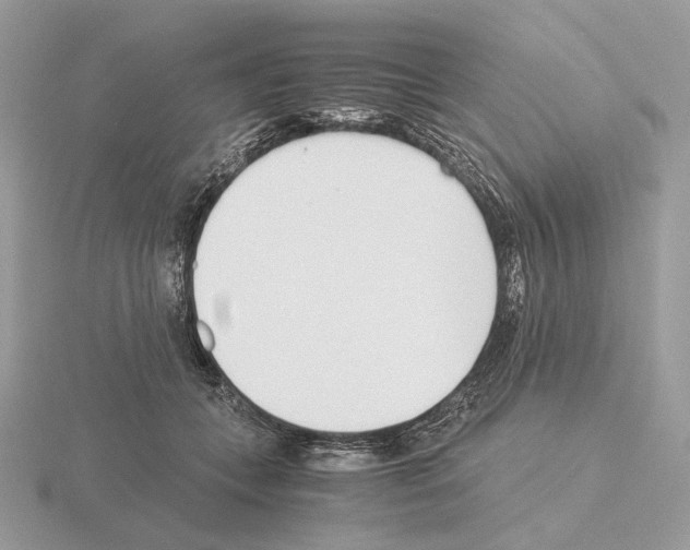 X0000115300559200912141119