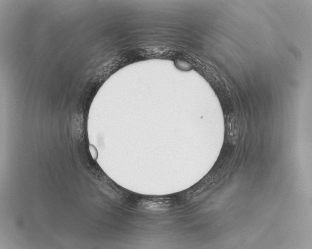 X0000115300563200912141119