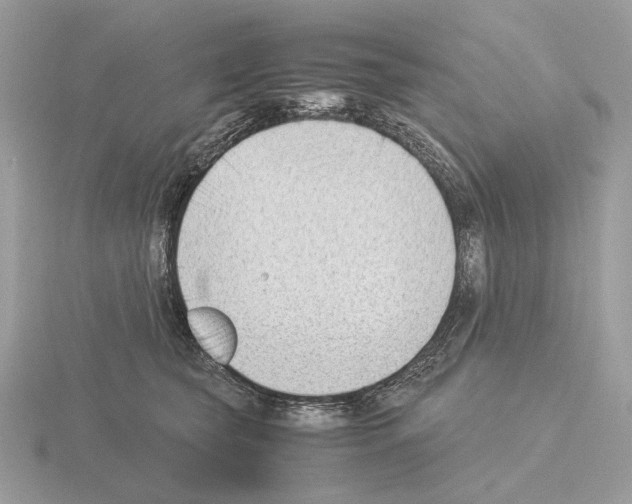 X0000115300565200912141119