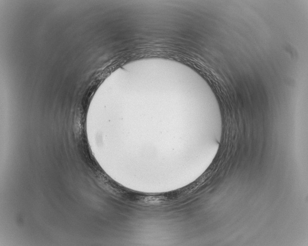 X0000115300566200912141119