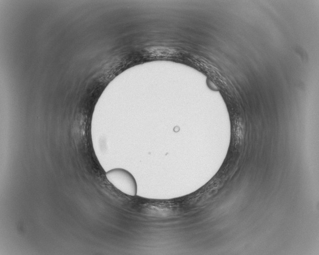 X0000115300567200912141119