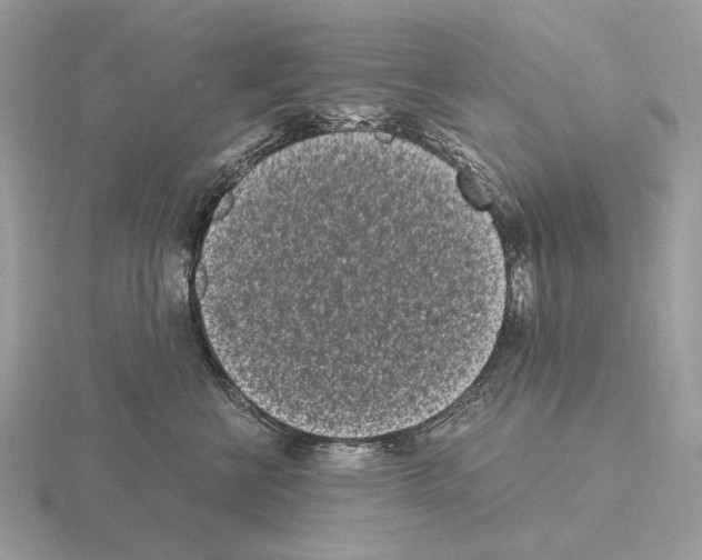 X0000115300570200912141119