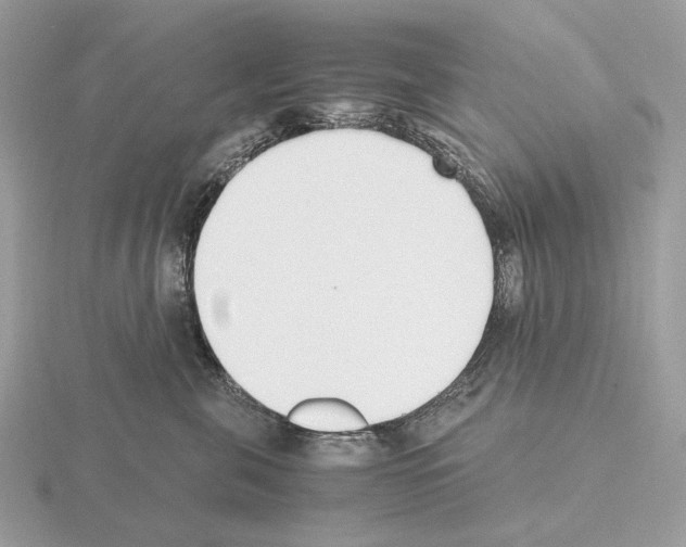 X0000115300571200912141119