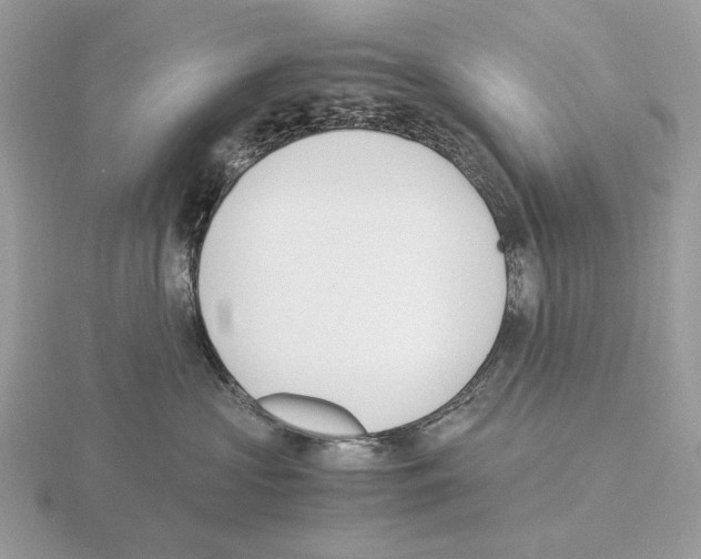 X0000115300573200912141119