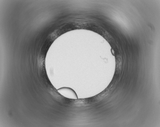 X0000115300574200912141119