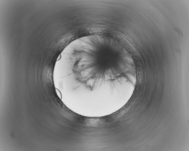 X0000115300575200912141119
