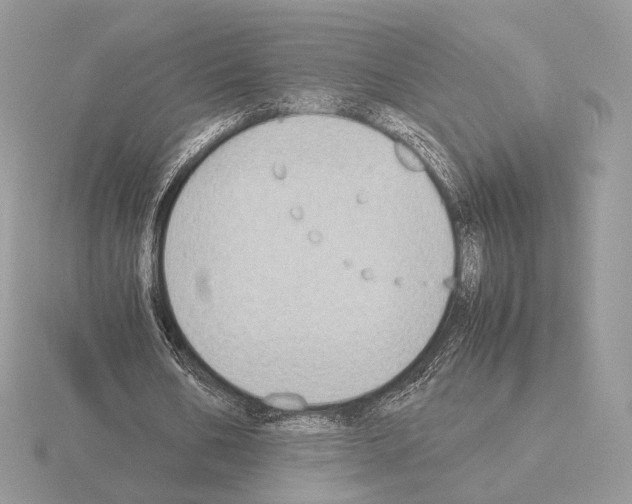 X0000115300578200912141118