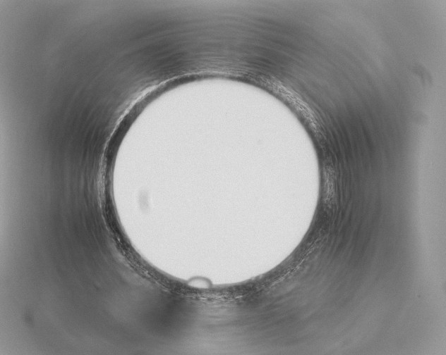 X0000115300580200912141118