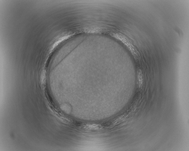 X0000115300583200912141118