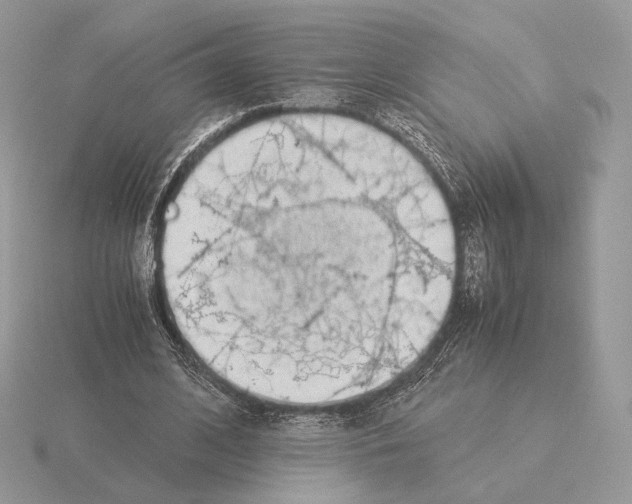 X0000115300584200912141118