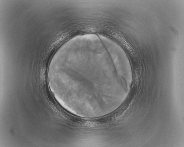 X0000115300585200912141118