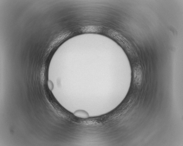 X0000115300586200912141118