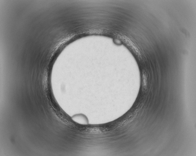 X0000115300588200912141118