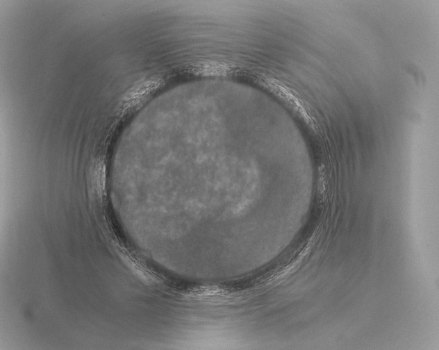 X0000115300589200912141118