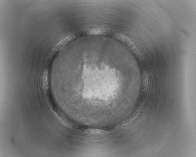 X0000115300590200912141118