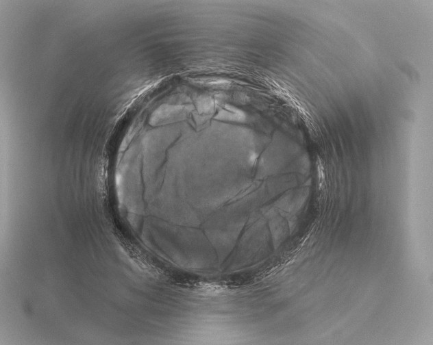 X0000115300592200912141118