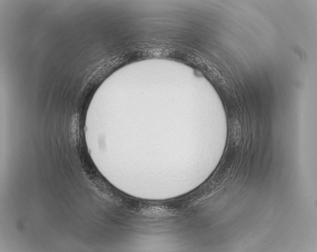 X0000115300594200912141118