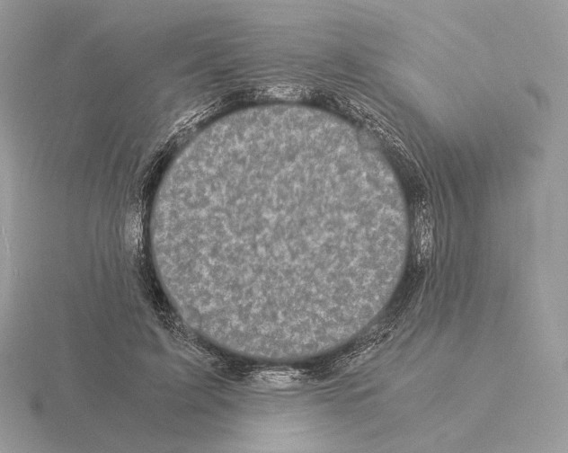 X0000115300595200912141118