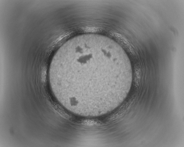 X0000115300596200912141118