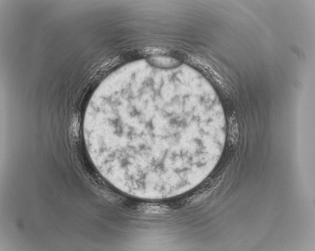 X0000115300597200912141118