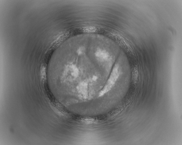 X0000115300598200912141118