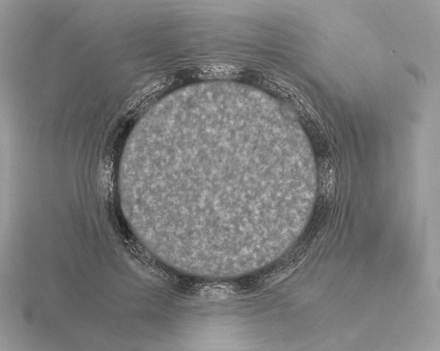 X0000115300599200912141118